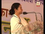 mamata on painting controversy