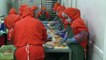 Bulgarian, Hungarian foie gras makers feed new markets