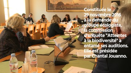 [Entretien] Commission d'enquête "Atteintes à la biodiversité"