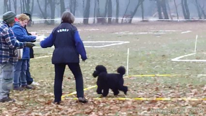 Verdy cavage Mazeray 2016