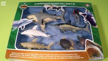 Ocean World Toys: Sharks, Dolphins, Turtles