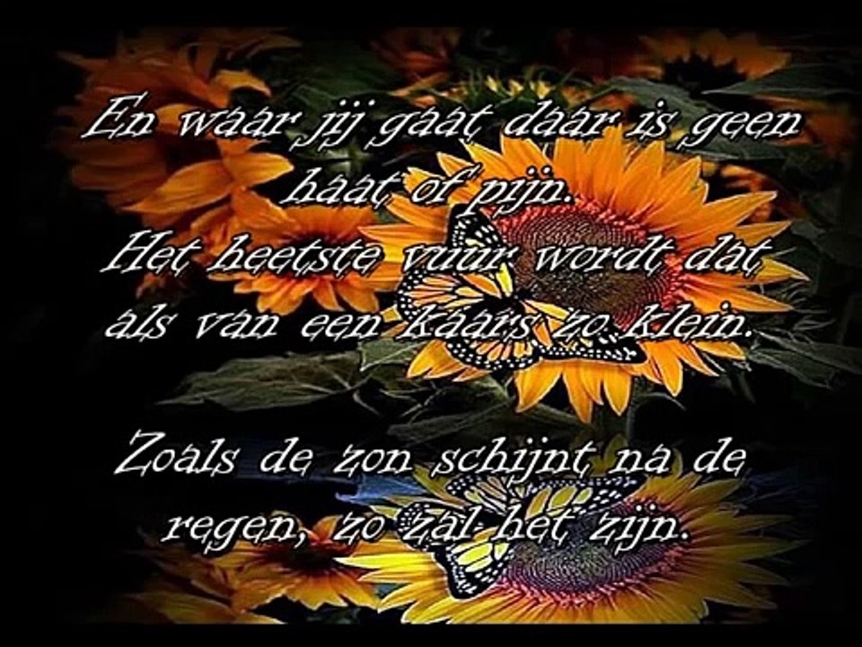 Rob de Nijs    Zo zal het zijn & Vlinder Erna  ƸӜƷ﻿-OPk3pS6D7bE-HQ