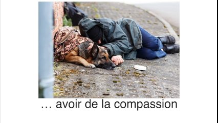 Nos amis les animaux