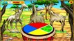 Go Diego Go Full Game for Kids - Go Diego Go Safari Rescue Episode 1 - FULL HD! English