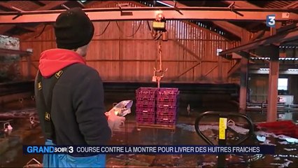 Huîtres : la course contre la montre pour les fêtes