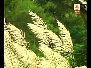 Pujo: Countdown start  for Superstar-Mega star pujo (1)