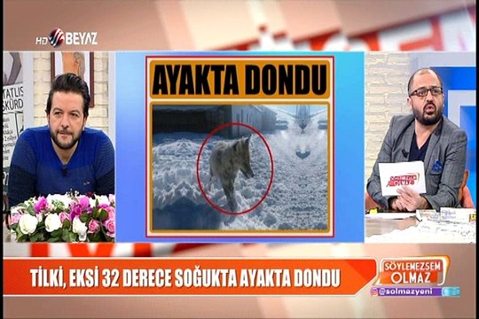 Tilki, eksi 32 derece soğukta ayakta dondu