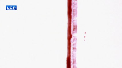 EXTRAIT 1-My american way of war, documentaire réalisé par Sylvain Desmille