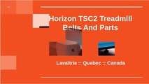 High Quality Of Horizon TSC2 Treadmill Belts In Laorraine