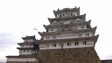 "Operation Cleanup" for the Japanese army