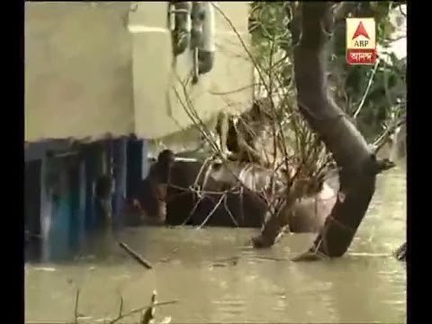 Continuous rain in Chennai creates flood situation