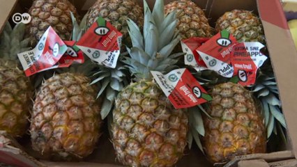 Бизнес-идея из мусорных контейнеров (21.12.16)