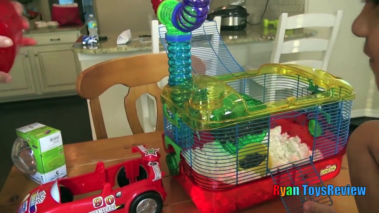Hamster Pet first Toy Car Wheel and Exercise Ball kids video Ryan ToysReview