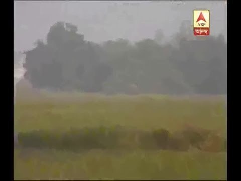 elephant ransacked in Burdwan, 1 died, 3 injured