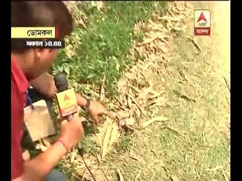 Bengal poll fourth phase: an eyewitness describes the incident of murder of CPM worker in