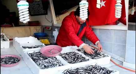 Palamut sezonu kapandı, hamsi yok denecek kadar az!