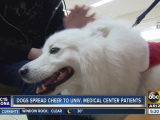 Dogs spreading holiday cheer to medical centers