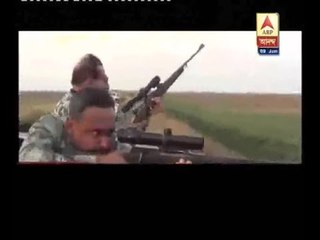 Wild animals being killed to save crops