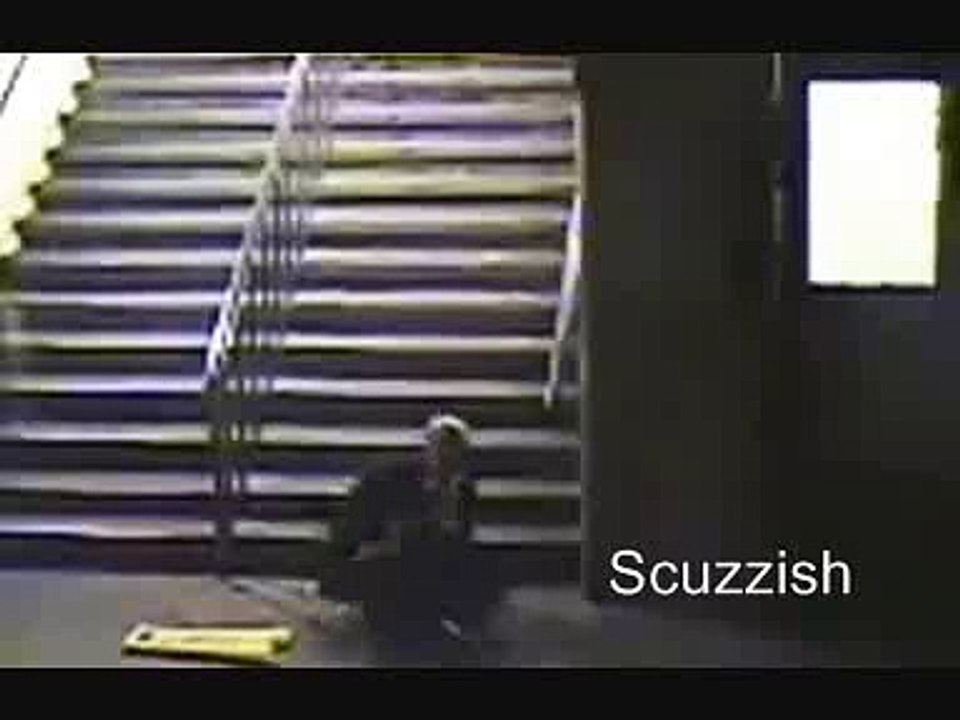 Le mec le plus bourré au monde !