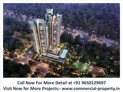 Luxury Apartment in M3M ESCALA Sector 70-A Gurgaon || 9650129697