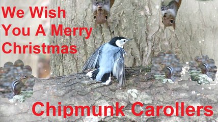 Chipmunk Choir - We Wish You A Merry Christmas