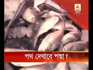 Bangladesh takes strong step to save 'hilsa' fish