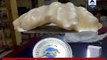 World's biggest pearl, a 34kg gem, comes out from under a fisherman's bed