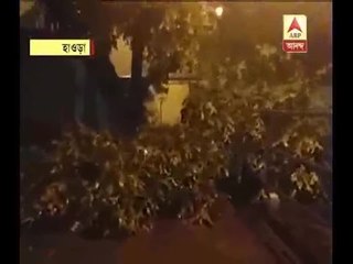 Tree Fell as rain, storm muscles through Howrah