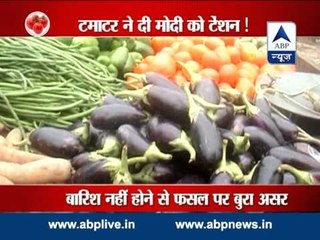 ABP News special: Rising tomato prices create problem for Modi govt