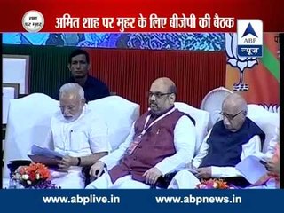 Rajnath Singh credits Amit Shah for Lok Sabha win