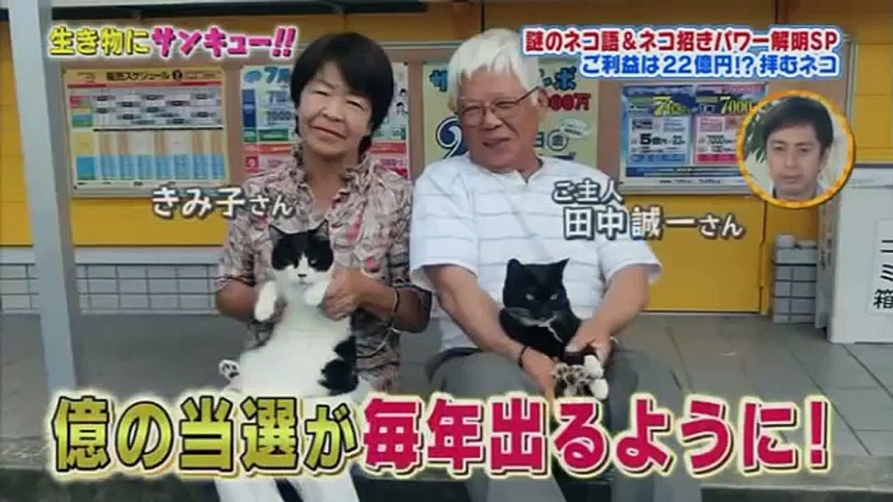 生き物にサンキュー! トコトン掘り下げ隊! ネコの幸せパワーSP 161221