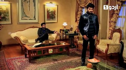 Ek Pal Ka Malal - Episode 29