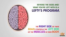 Why are some people left handed?