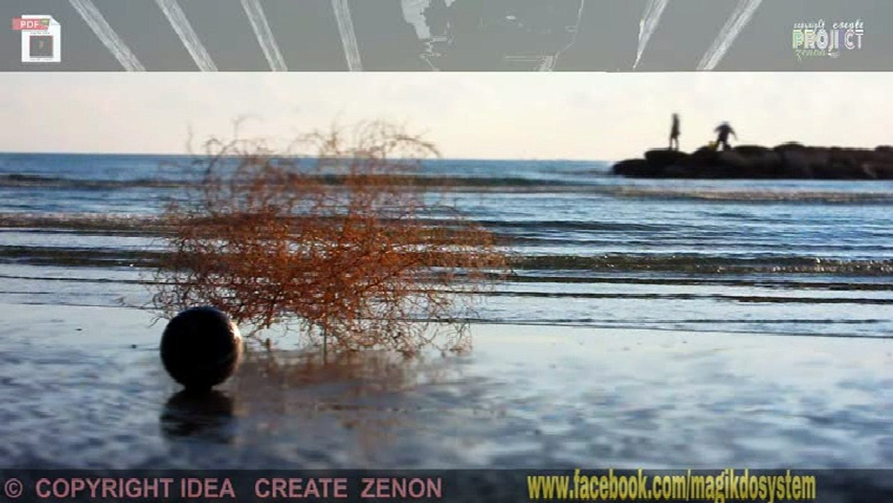 basketball fishing ...