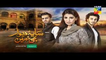 Saya e Dewar Bhi Nahi Episode 20 Promo HUM TV Drama 21 December 2016