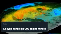 Une vidéo montre le cycle du dioxyde de carbone en une minute