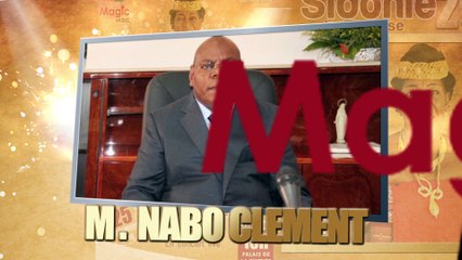 Spot concert Sidonie la tigresse