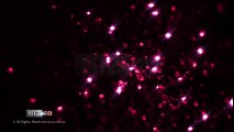 Sparkling Stars - Royalty FREE Background Loop HD 1080p