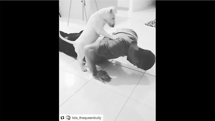Dog helps out owner with workout routine