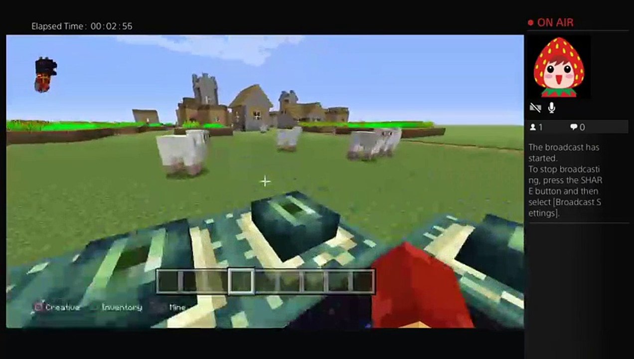 Minecraft (12)