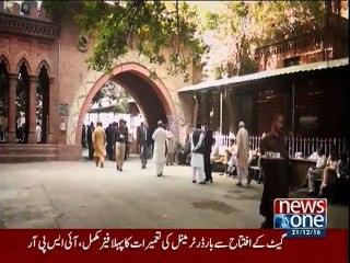 Houbara Bustard Hunting: LHC hears case against the 'permission'