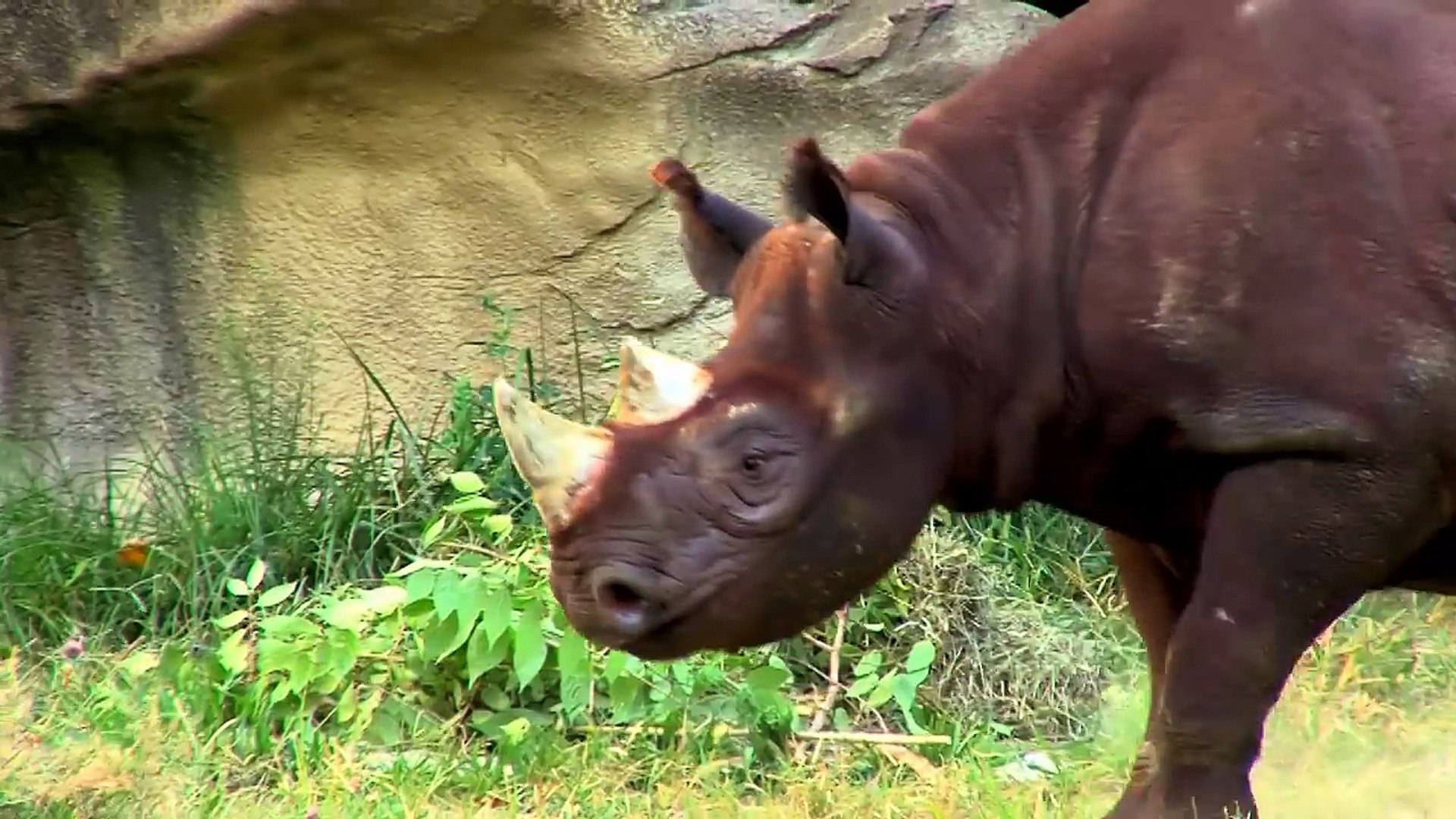 ⁣Zoo Keeper Appreciation Week - Cincinnati Zoo