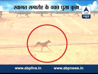 Security Violation: A mongrel spotted at Rashtrapati Bhavan during Guard of Honour
