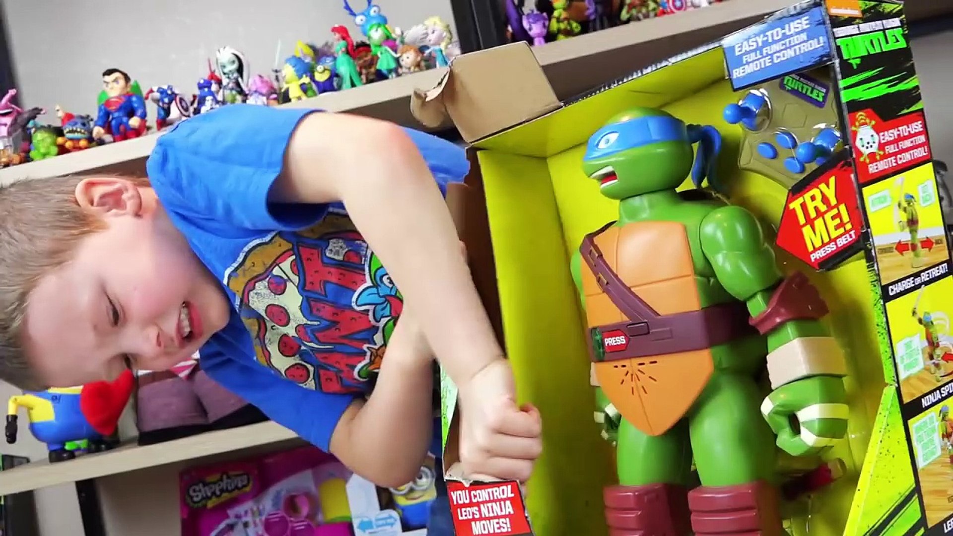 remote control ninja turtle