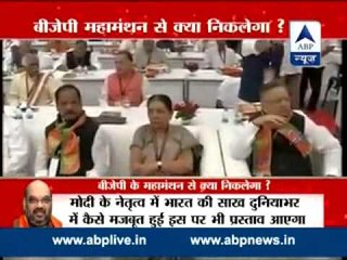 BJP National Executive meeting live from Bengaluru