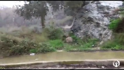 Le cae un árbol mientras grababa una rambla en Murcia - Beniaján(1)