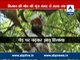 Gajendra Singh death: Delhi Police might quiz Arvind Kejriwal, Manish Sisodia
