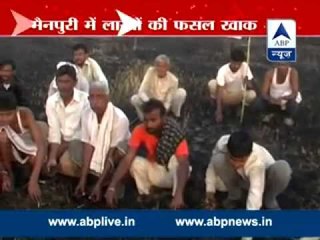 Crops worth lakhs damaged in Mainpuri
