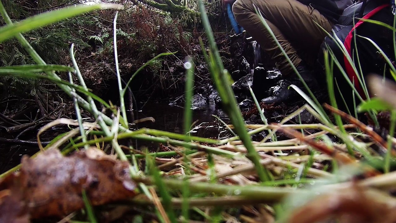 Eine Nacht im Vogelsberg