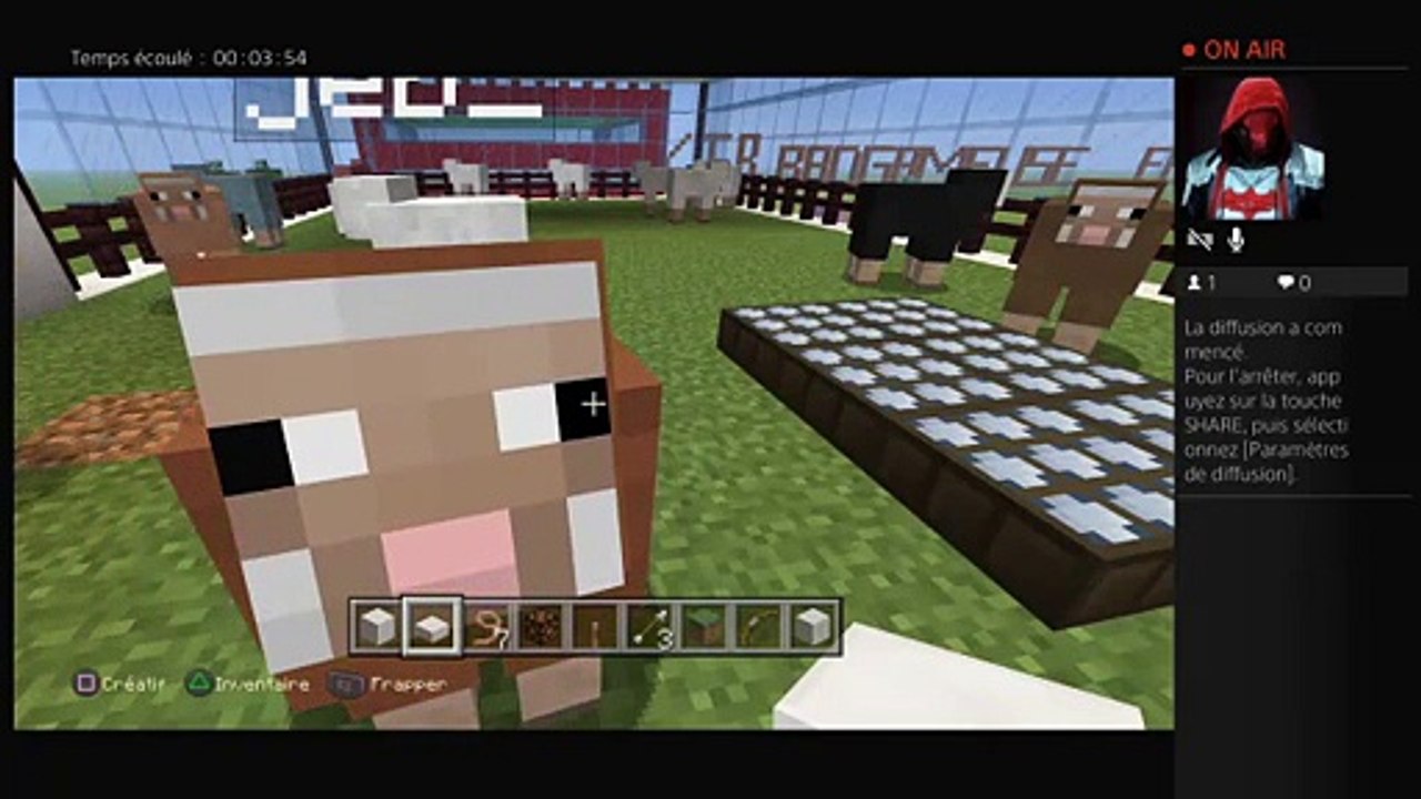 Minecraft (42)